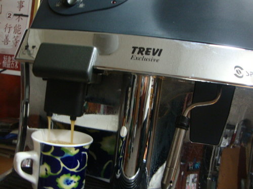 Ремонт, чистка кофемашины -spidem-trevi-exclusive-